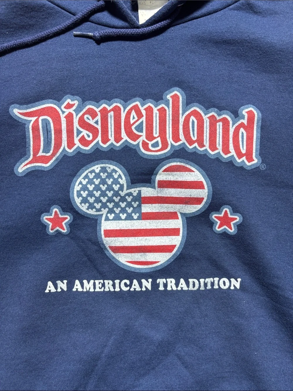 Disneyland Disney Parks Hoodie Pullover Sweater Blue XXL  (Pre-Owned) (18)
